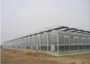 Quality Agriculture Clear Polycarbonate Greenhouse Good Heat Preservation Effect wholesale