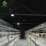 220V Gutter Connected Greenhouse