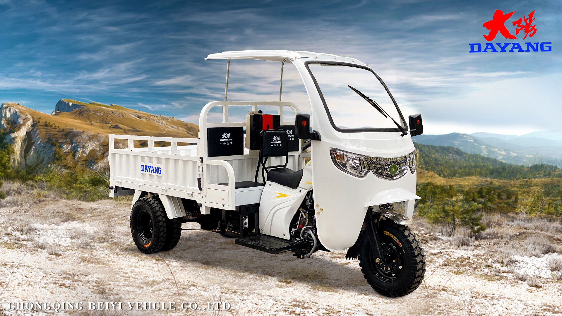 Standard Size 3 Wheel Gasoline 200cc/250cc/300cc Motorcycle Engine Cabin Cargo Tricycle