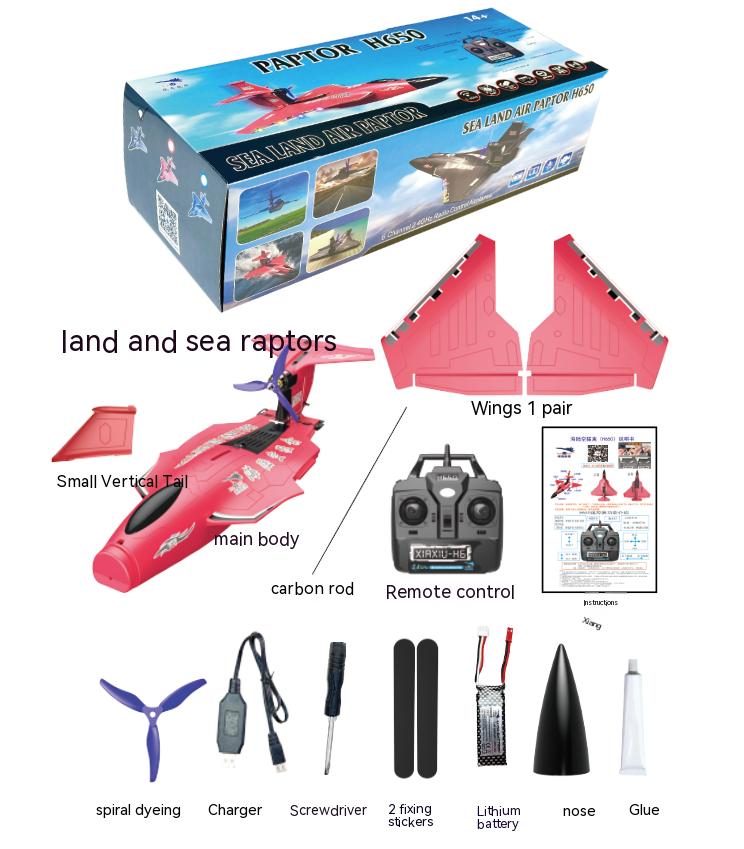 Electric Power Raptor H650 Long Range 2.4g Proportional Sea Land Air Led Aerobatics Stunt RC Glider with 6 Channels Control