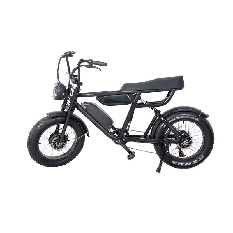 Retro Ebike Cruiser Dual Battery Enduro 7 Speed 48V 1000W Electric Fat Tire Bike