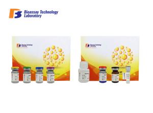Quality Strong Specificity Human F5 Sandwich Enzyme Assay Kits 96 Wells Customized wholesale