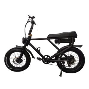 Quality Max Speed 30-50Km/h 2023 Retro Fat Tire Electric Mountain Bike with Dual Motor 2000W wholesale