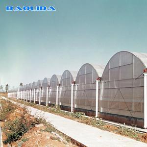 Quality 200 Micron Polyethylene Film Large Scale Multispan Greenhouse wholesale