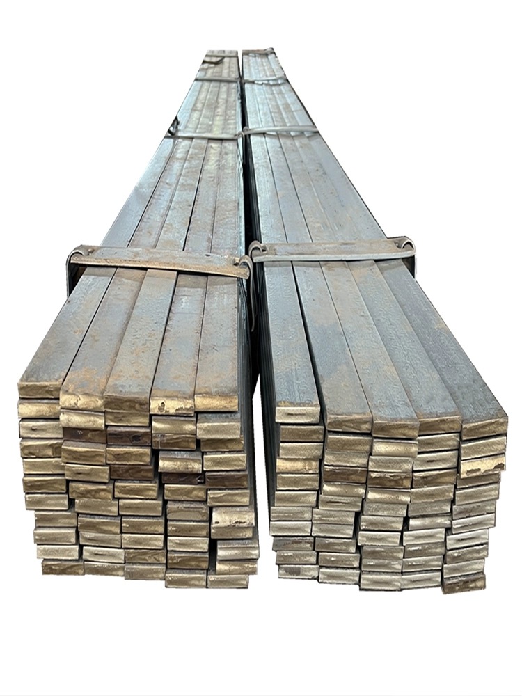 Hot Galvanized Hot Rolled Flat Steel with 6m Length and Hot Galvanization