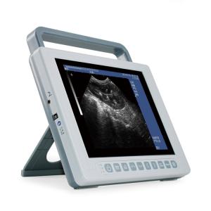 Quality Veterinary Medical Ultrasound Machine 2D B Mode Ultrasound Scanner GHK10 wholesale