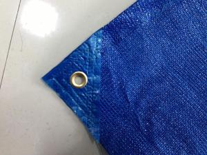 Quality Blue Privacy Fence Netting , Hdpe Anti UV Screen Net Safety Barrier wholesale