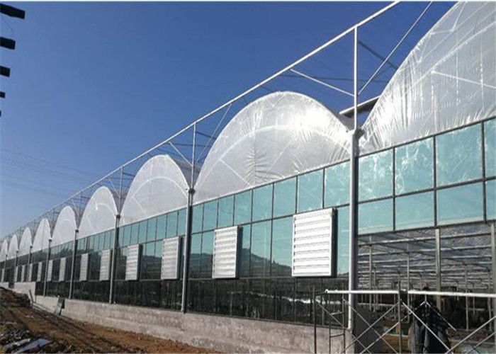 Ecological Plastic Film Greenhouse Heavy Snow Resistance For Tomato Planting
