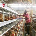 Layer 3 Or 4 Tier Battery Cage System For 500-1000 Birds Iris