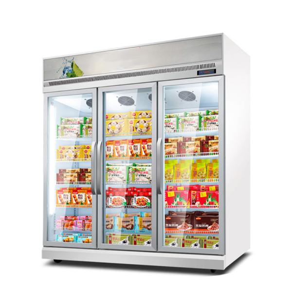 Upright Freezer Philippines / Malaysia Used Commercial Ice Cream Display
