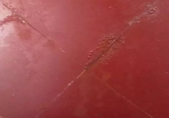 Resistant to Salt Fog for 144 hours