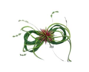 Quality 5*15 cm Dyed Goose Feather Flower Mount with Comb B2B Recommended wholesale