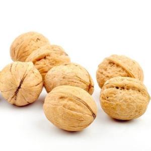 Quality Chinese Supplier Raw Xinjiang 185 Walnut Light Amber Color In Shell Wholesale Price For Sale wholesale