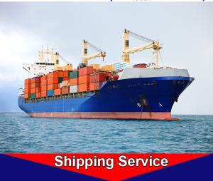 Quality International Sea Container Freight Forwarder China Shenzhen - Europe Hamburg wholesale