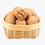 China wholesale XinJiang 185 33 xiner xinfeng xingfu walnuts in shell with extra