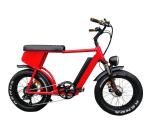 73 Style 20 Inch Fat Tire Electric Mountain Bike 48V 500W/750W/1000W Electric