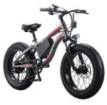 Aluminum 20 Inch Fat Tire Electric Bike 750 Watt