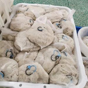 Quality 17-19mm Natural Goat Casings Dry Sausage Casing High Flexibility wholesale