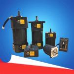 60W OPG Ac gear reduction motor 5ik60rgn