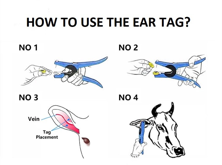 Numbering Livestock Ear Tags TPU Rfid Sheep Tags Yellow