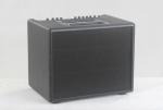Acoustic Guitar Amplifier 60W AER Compact60 Style Acoustic Guitar Amp 60W 8"