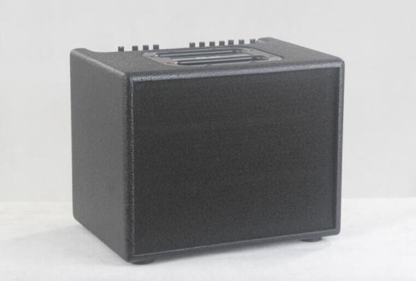 Acoustic Guitar Amplifier 60W AER Compact60 Style Acoustic Guitar Amp 60W 8"