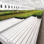 Farming Greenhouse Rolling Benches / Movable Commercial Greenhouse Tables