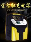 Lead Acid 10AH 200AH Intelligent Car Battery Charger