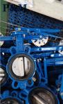JIS 5K 10K CAST IRON butterfly valve