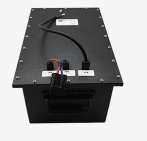 Quality 48 Volt Lithium Ion Battery , Golf Cart Battery Charger For Club Car wholesale