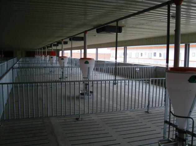 Automatic Livestock Feeding Equipment PE Plastic Feeder For Pigs