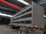 Triangle / Double Star / Double Money 3 Axle Fence Truck Trailers for Livestock