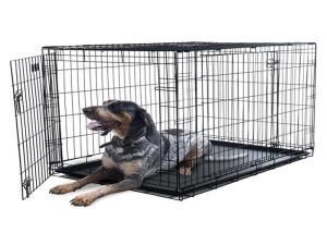 Quality Pet cages dog cage stainless steel commercial dog kennels pet cages carriers houses dog wholesale
