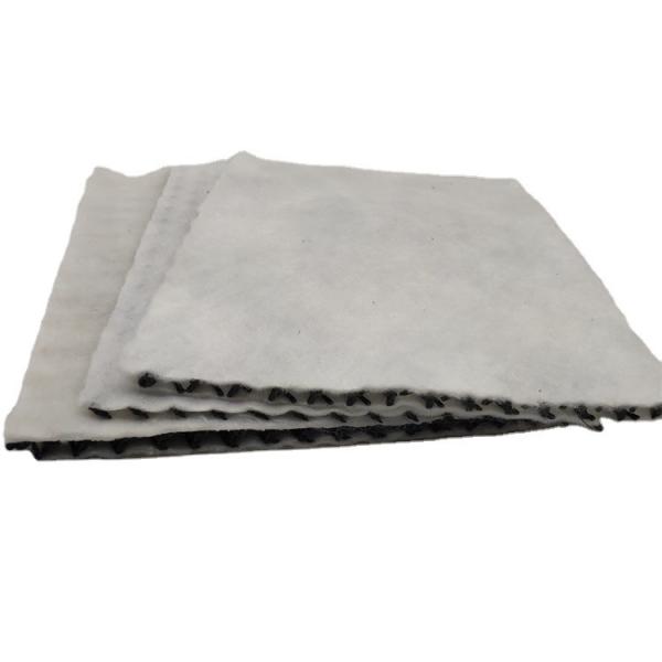Product Feature Ecofriendly 3D Composite Geonet for Landfill Roadbed Slope