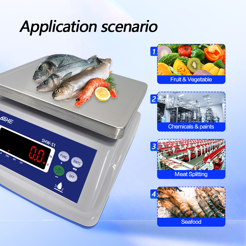 Waterproof Double Screen Electronic Scale with 3-30kg Capacity and Customized Support