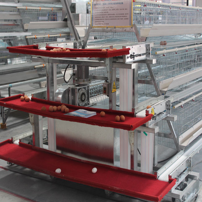 10000 Layers New Design Layer Hen Cage Battery Cage Eggs