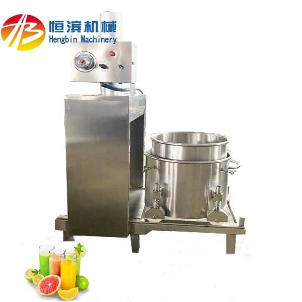 200kg/h Commercial Hydraulic Pineapple Mango Celery Strawberry Lemon Apple