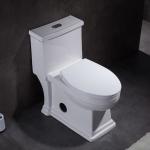 Luxury Bathrooms Toilets Floor Mounted Wc Watersense Certified Toilets