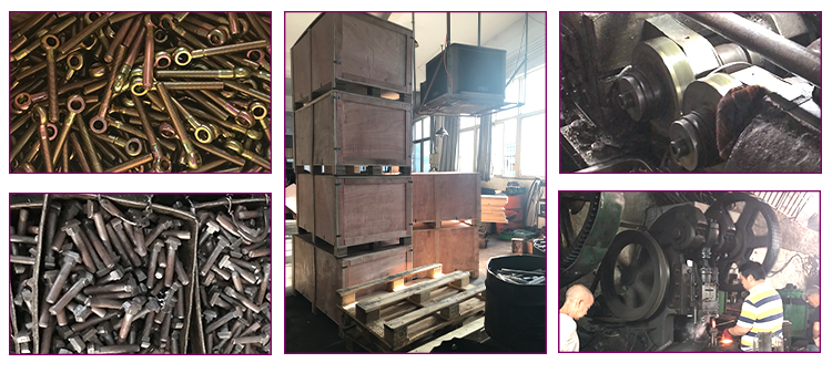 OEM Hot Sale Galvanized Carbon steel DIN 444 Eye Bolt eye bolts HDG Zinc Plate Lifting Eye screw Forged Machinery Fastener