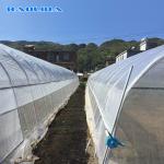 Anti Dew 6 Width Tunnel Plastic Greenhouse For Vegetable Growing