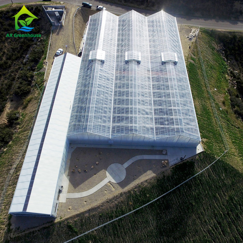 PE Film 220V Auto Light Dep Greenhouse 100% Blackout High Tunnel Greenhouse