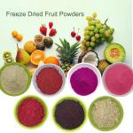 Mygou Foods Cranberry Fruit Juice Extract Powder OEM Packing