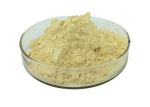 30% Ginsenosides Anti Aging Light Yellow Ginseng Extract Powder