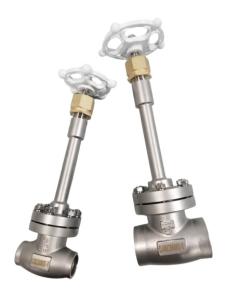 Quality PN40 Socket Weld Globe Valve SS304 SS316 Cryogenic Globe Valve wholesale
