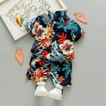 Floral Print 2023 New Beach Style Wholesale Summer baby clothes boy Formal
