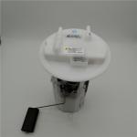1489084080 F01RB00S0 Fuel Pump Assembly For Citroen Trium Sega Peugeot