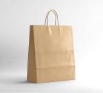 environmental brown kraft snack takeout paper bags