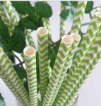 Merry Christmas paper straws party chervon paper straws