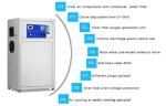SS304 RAS Aquaculture Water Treatment Fish Farm Ozone Generator 20g