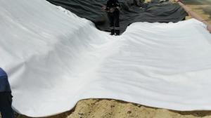 Quality Nonwoven Polypropylene Filament Geotextile Mat Geosynthetic Fabric ASTM wholesale